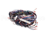 WIR2346 Trane Wiring