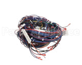 WIR2346 Trane Wiring