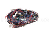 WIR2346 Trane Wiring