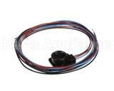 WIR3351 Trane Ckt 2 Scoll Compressor Wire