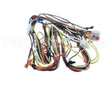 WIR4138 Trane Wiring