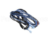 WIR6538 Trane Harness Indoor Mtr Trans 53In