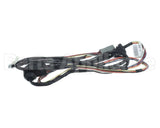 WIR6764 Trane Wiring Harness