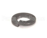 WL-003-36 Hobart Lockwasher