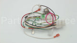 WP2192096 Whirlpool Harns-Wire