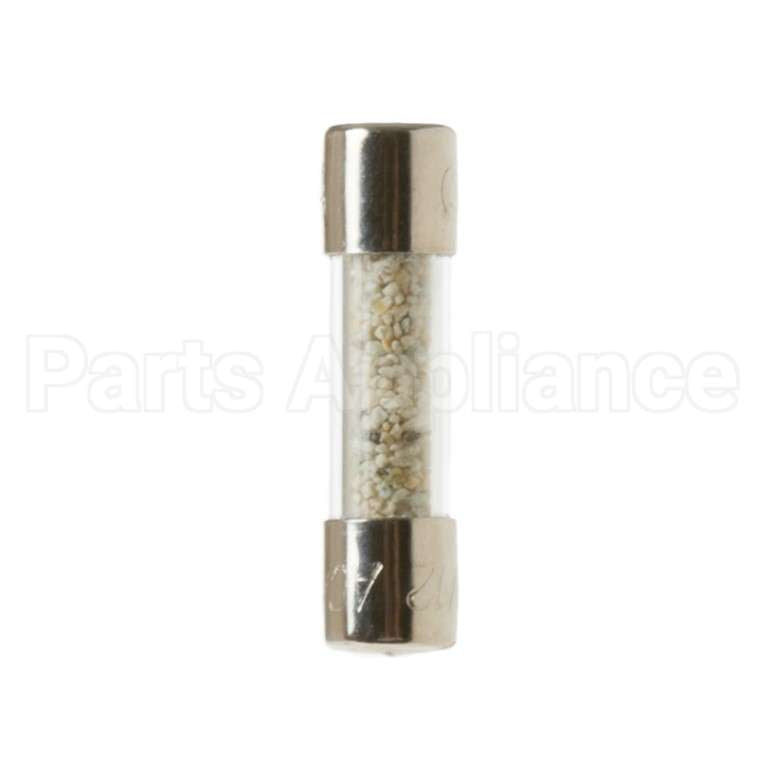 WP23X10009 GE Fuse