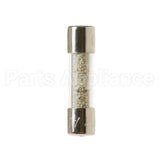 WP23X10009 GE Fuse