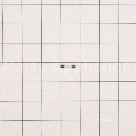 WP23X10027 GE Fuse