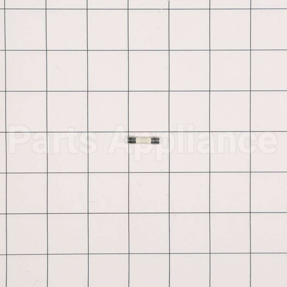WP23X10027 GE Fuse