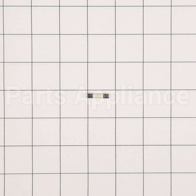WP23X10027 GE Fuse