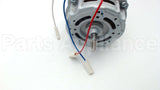 WP35001057 Whirlpool Motor Blow