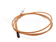 WPW10145991 Whirlpool Igntr-Surf