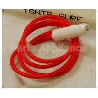 WPW10209657 Whirlpool Igntr-Surf