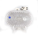 WPW10248257 Whirlpool Elmnt-Surf