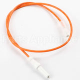 WPW10571489 Whirlpool Igntr-Surf