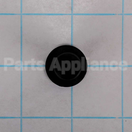 WR01X10956 GE Thimble Door