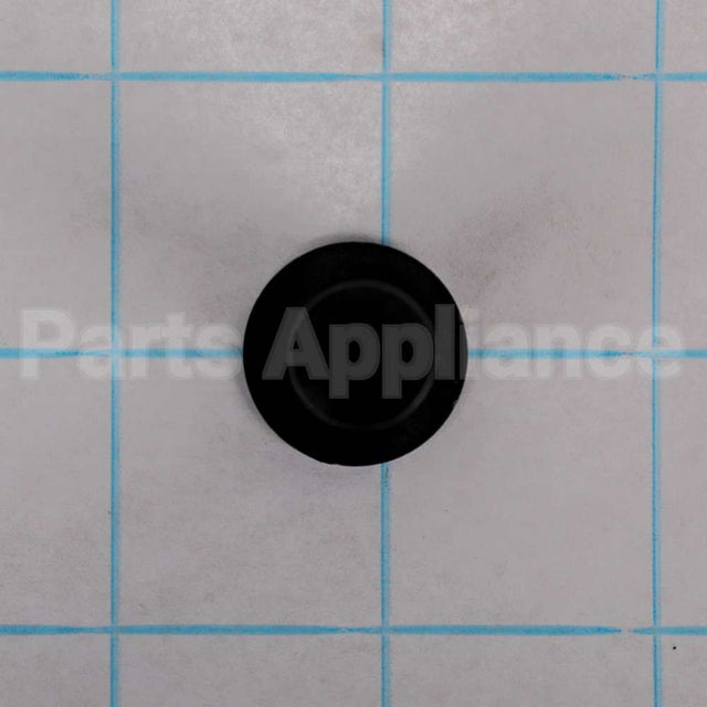 WR01X10956 GE Thimble Door