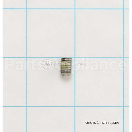 WR01X11057 GE Set Screw .250 Dia.