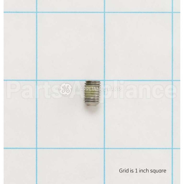 WR01X11057 GE Set Screw .250 Dia.