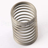 WR01X25538 GE Spring Paddle