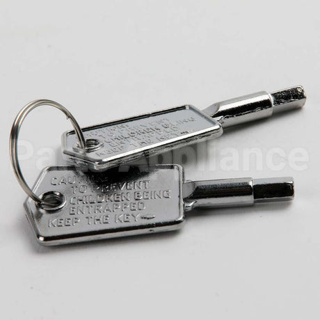 WR01X28053 GE Door Key