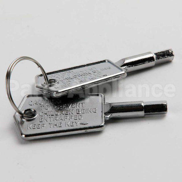 WR01X28053 GE Door Key