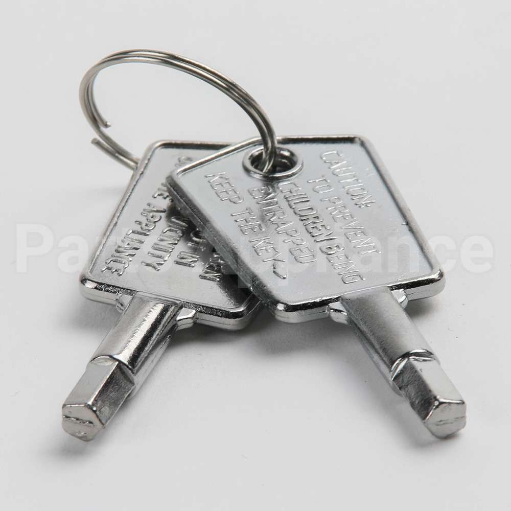 WR01X28053 GE Door Key