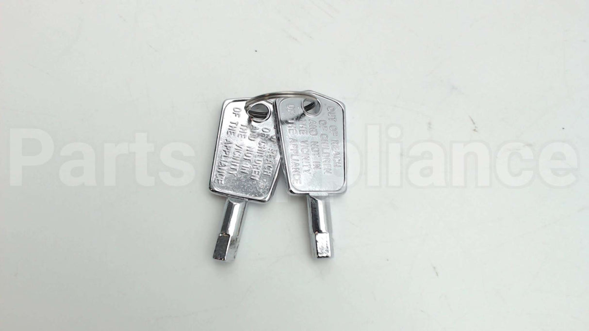 WR01X29917 GE Door Key
