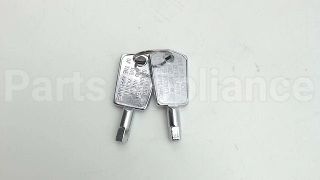 WR01X29917 GE Door Key
