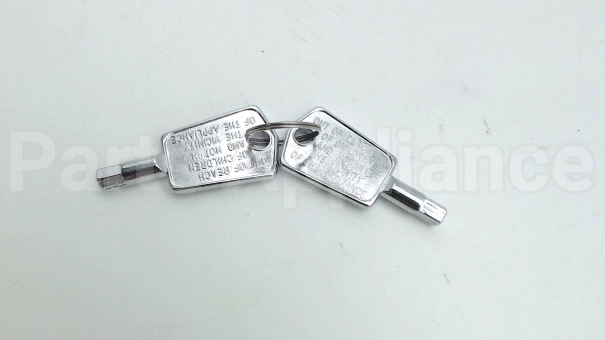 WR01X29917 GE Door Key