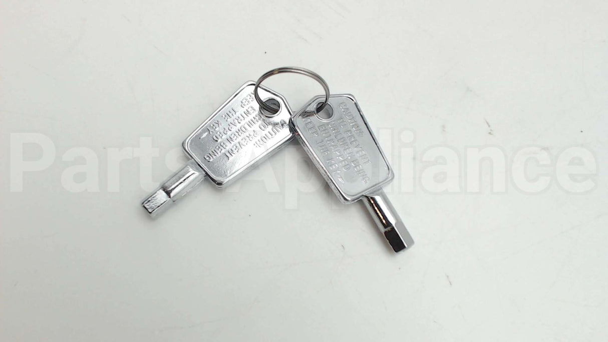 WR01X29917 GE Door Key