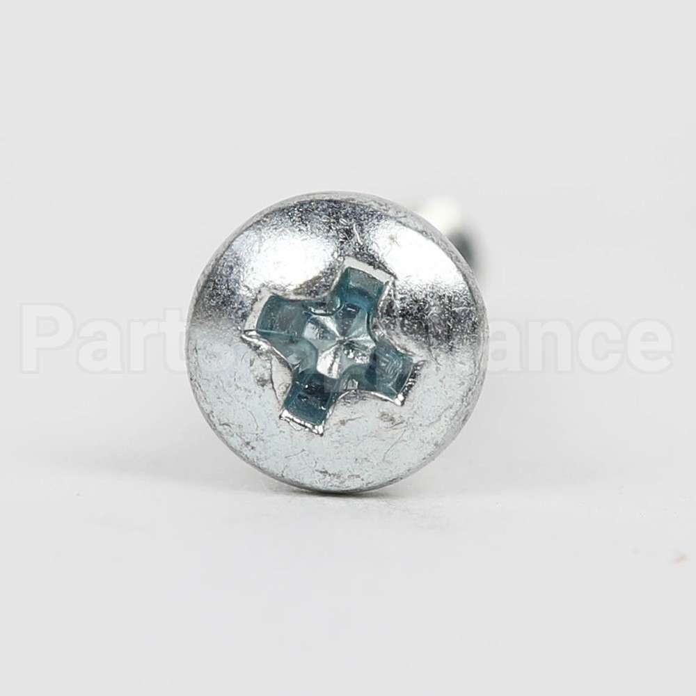 WR02X12257 GE Scr 4-10 Pl Pnp 3/4 Ss