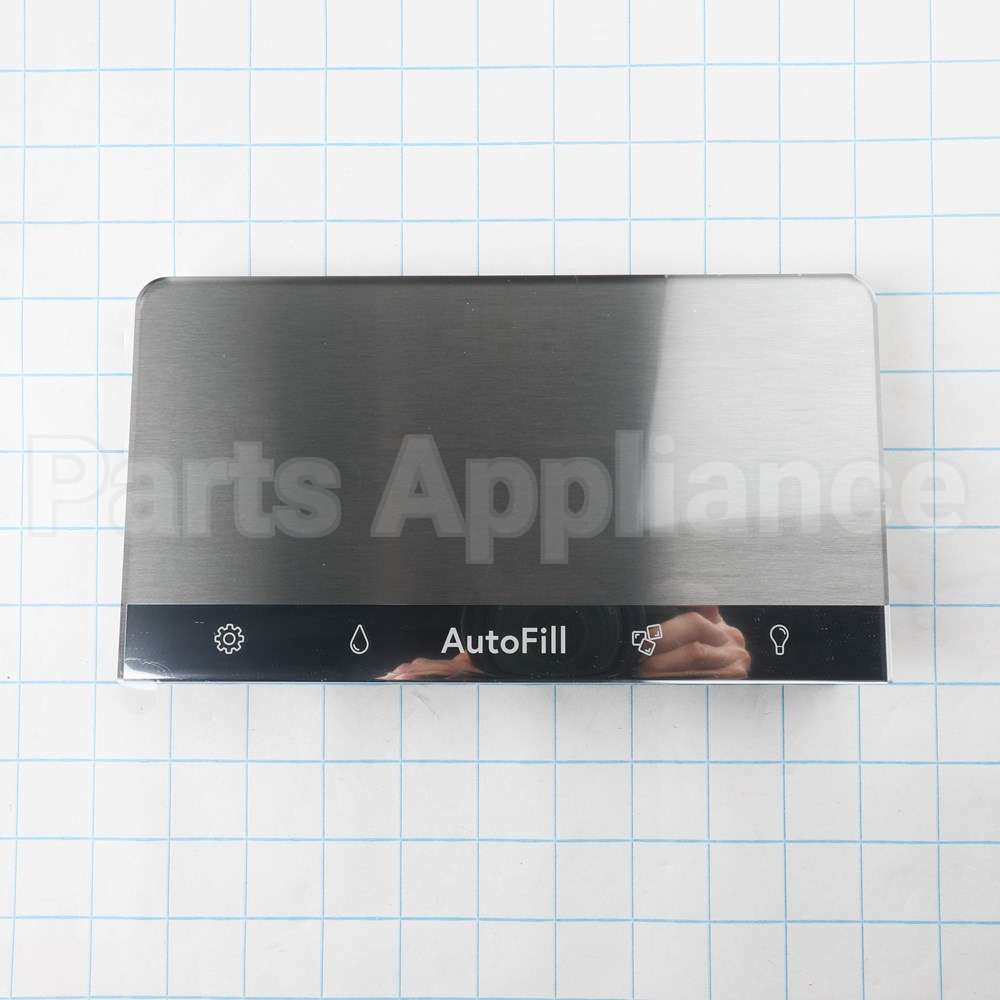 WR09X41171 GE Stainless Steel Display Autofill