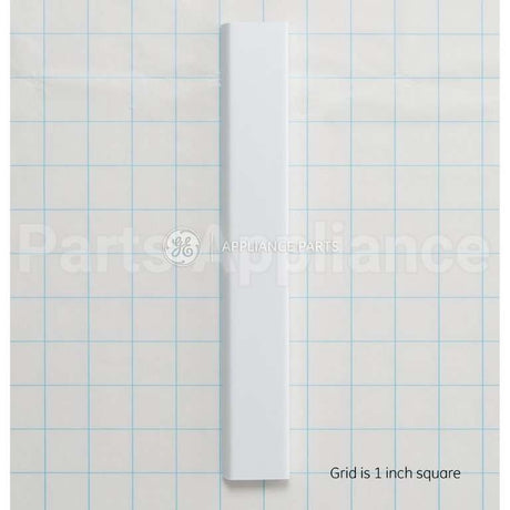 WR17X12076 GE Front Door Shelf Fz