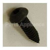 WR1X1752 GE Screw