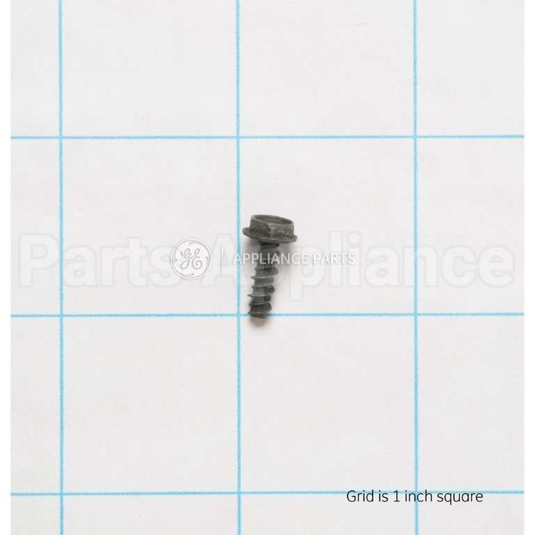 WR1X1850 GE Screw