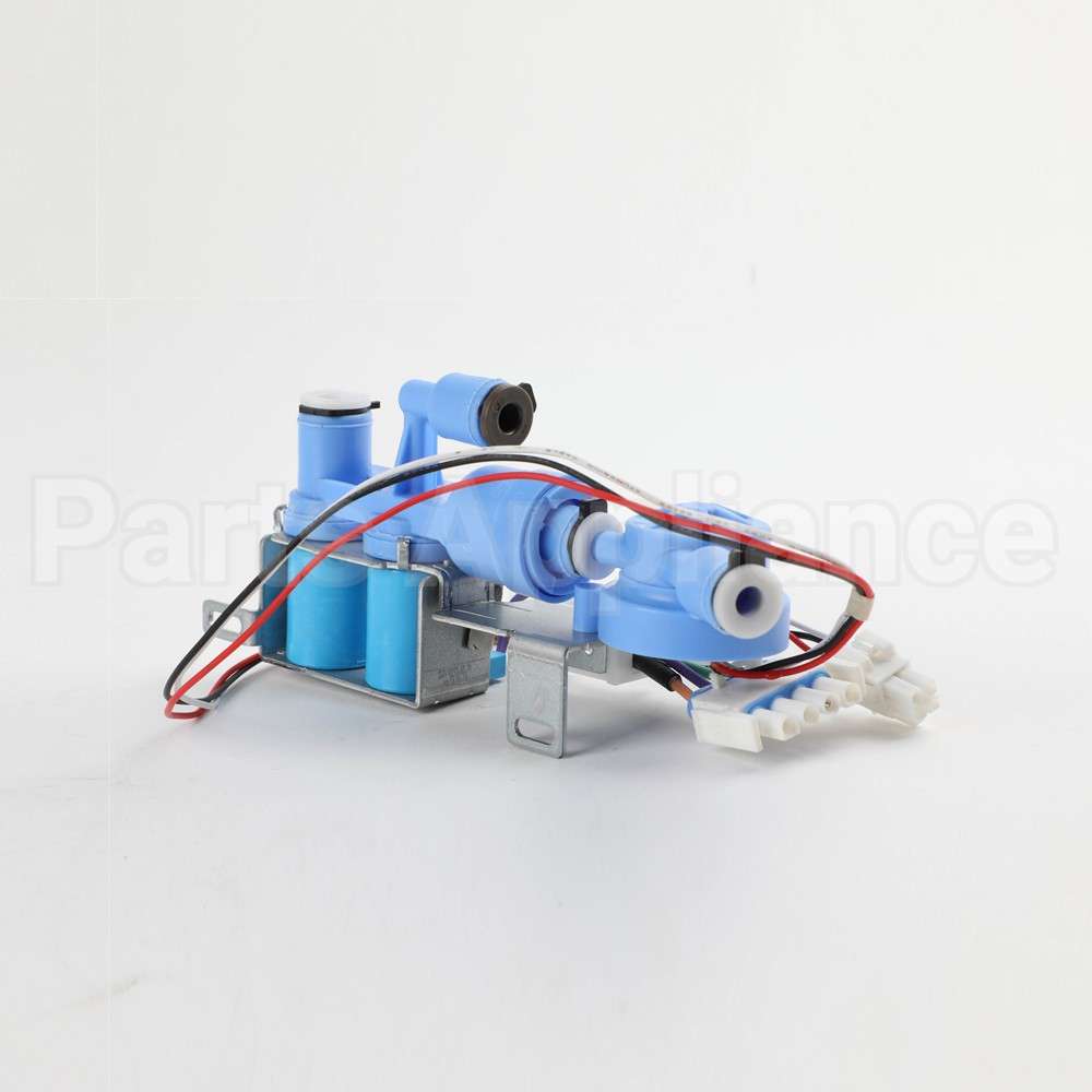 WR57X24979 GE Valve Dual Water W Fm