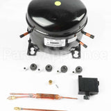 WR87X10199 GE Compressor Kit Inverter