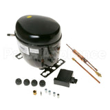 WR87X10217 GE Compresser Kit Inverter