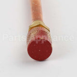 WR87X30876 GE R600 Process Valve W/ Red Cap
