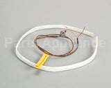 WS-63927 Wells Probe T-Couple 208/240V