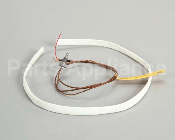 WS-63927 Wells Probe T-Couple 208/240V