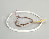 WS-63927 Wells Probe T-Couple 208/240V