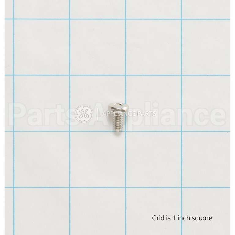 WS02X10076 GE Scr 10-32 Pnup 3/8 S