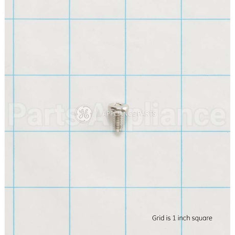 WS02X10076 GE Scr 10-32 Pnup 3/8 S