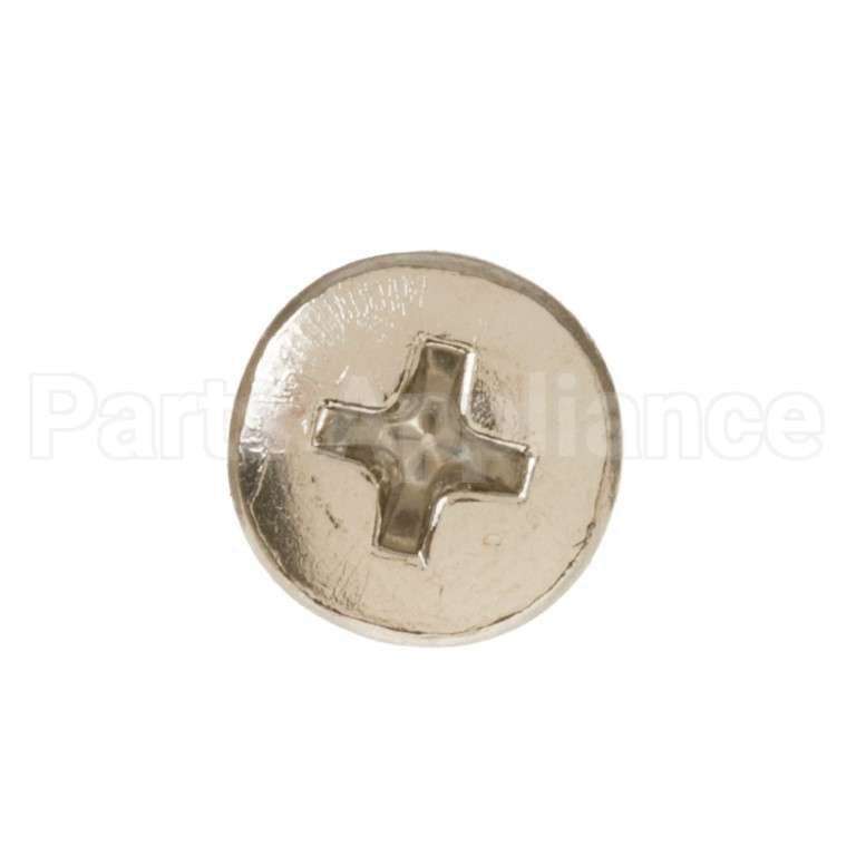 WS02X10076 GE Scr 10-32 Pnup 3/8 S