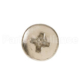 WS02X10076 GE Scr 10-32 Pnup 3/8 S