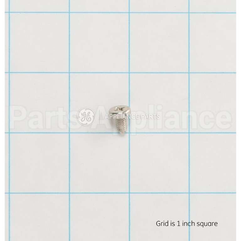 WS02X10077 GE Scr 10-32 Pnup 13/32 S