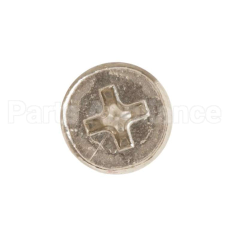 WS02X10077 GE Scr 10-32 Pnup 13/32 S