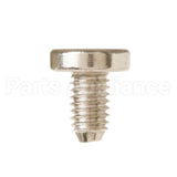 WS02X10077 GE Scr 10-32 Pnup 13/32 S